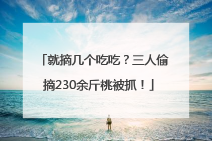 就摘几个吃吃？三人偷摘230余斤桃被抓！