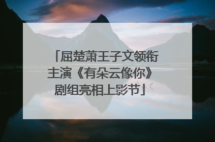 屈楚萧王子文领衔主演《有朵云像你》剧组亮相上影节