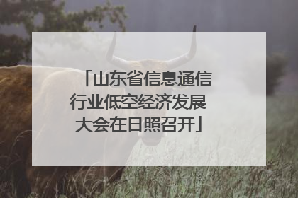 山东省信息通信行业低空经济发展大会在日照召开