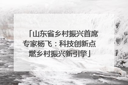 山东省乡村振兴首席专家杨飞：科技创新点燃乡村振兴新引擎