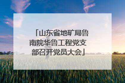 山东省地矿局鲁南院华鲁工程党支部召开党员大会