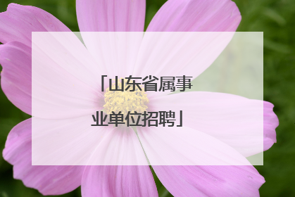 山东省属事业单位招聘