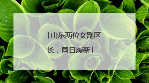 山东两位女副区长，同日履新