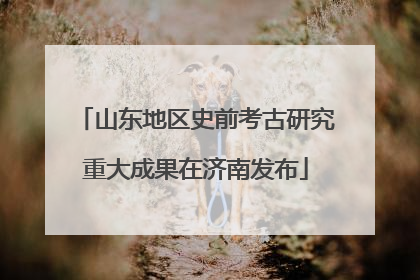 山东地区史前考古研究重大成果在济南发布