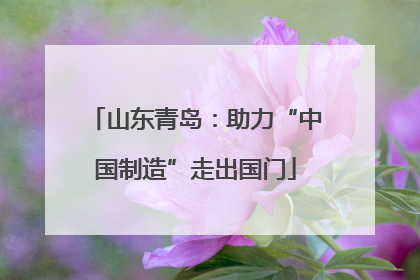 山东青岛：助力“中国制造”走出国门