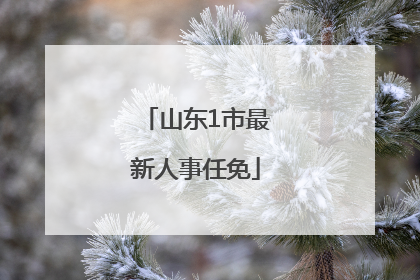 山东1市最新人事任免