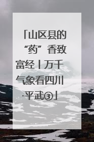 山区县的“药”香致富经丨万千气象看四川·平武③