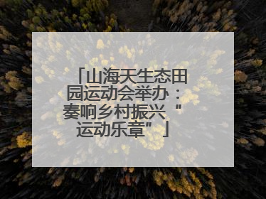 山海天生态田园运动会举办：奏响乡村振兴“运动乐章”