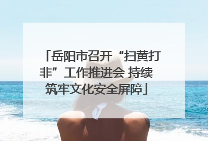岳阳市召开“扫黄打非”工作推进会 持续筑牢文化安全屏障
