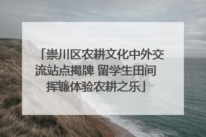 崇川区农耕文化中外交流站点揭牌 留学生田间挥镰体验农耕之乐