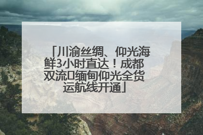 川渝丝绸、仰光海鲜3小时直达！成都双流⇌缅甸仰光全货运航线开通
