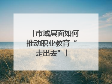 市域层面如何推动职业教育“走出去”