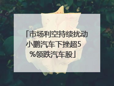 市场利空持续扰动 小鹏汽车下挫超5%领跌汽车股