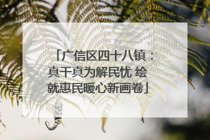 广信区四十八镇：真干真为解民忧 绘就惠民暖心新画卷