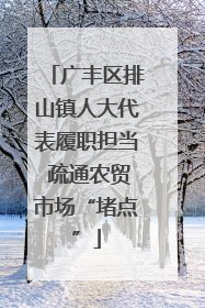 广丰区排山镇人大代表履职担当 疏通农贸市场“堵点”