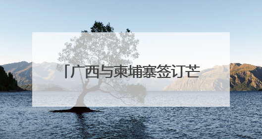 广西与柬埔寨签订芒果干、榴莲采购协议和贸易合作框架协议