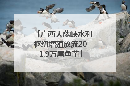 广西大藤峡水利枢纽增殖放流201.9万尾鱼苗