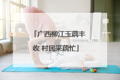 广西柳江玉藕丰收 村民采藕忙