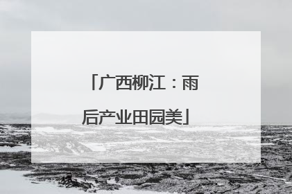 广西柳江：雨后产业田园美