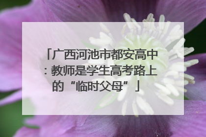 广西河池市都安高中：教师是学生高考路上的“临时父母”