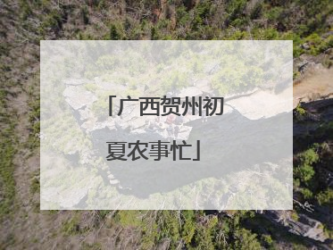 广西贺州初夏农事忙