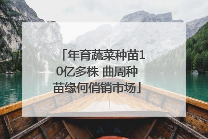年育蔬菜种苗10亿多株 曲周种苗缘何俏销市场