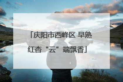 庆阳市西峰区 早熟红杏“云”端飘香