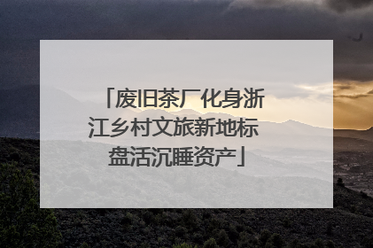 废旧茶厂化身浙江乡村文旅新地标 盘活沉睡资产
