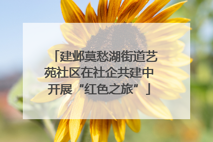 建邺莫愁湖街道艺苑社区在社企共建中开展“红色之旅”