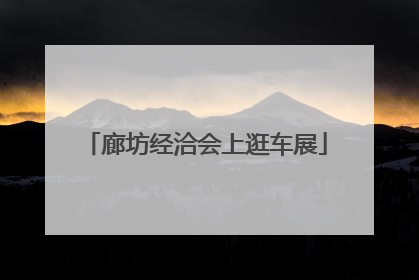 廊坊经洽会上逛车展