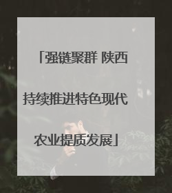 强链聚群 陕西持续推进特色现代农业提质发展