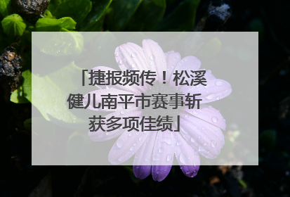 捷报频传！松溪健儿南平市赛事斩获多项佳绩