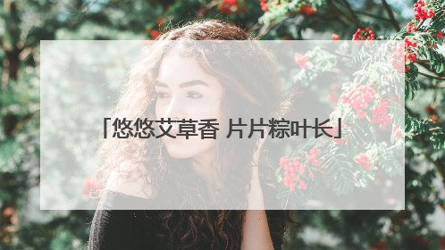 悠悠艾草香 片片粽叶长