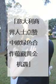 意大利商界人士点赞中欧绿色合作蕴藏黄金机遇
