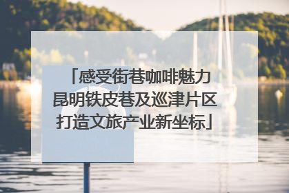 感受街巷咖啡魅力 昆明铁皮巷及巡津片区打造文旅产业新坐标