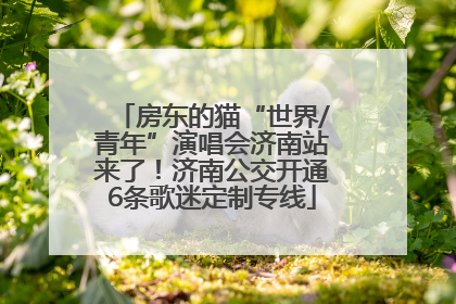 房东的猫“世界/青年”演唱会济南站来了！济南公交开通6条歌迷定制专线