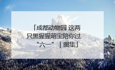 成都动物园 这两只黑猩猩萌宝陪你过“六一”｜图集
