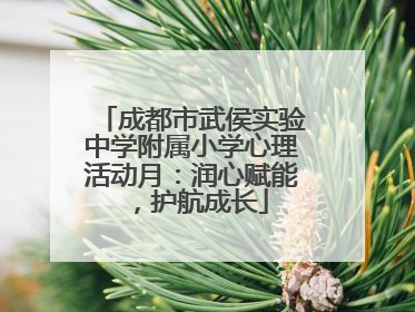 成都市武侯实验中学附属小学心理活动月：润心赋能，护航成长