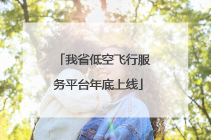 我省低空飞行服务平台年底上线