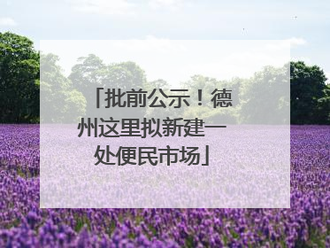 批前公示！德州这里拟新建一处便民市场