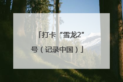 打卡“雪龙2”号（记录中国）