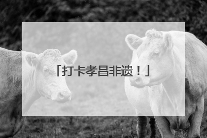 打卡孝昌非遗！