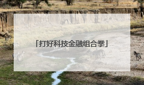 打好科技金融组合拳