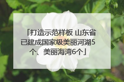 打造示范样板 山东省已建成国家级美丽河湖5个、美丽海湾6个