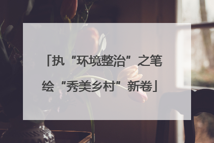 执“环境整治”之笔 绘“秀美乡村”新卷