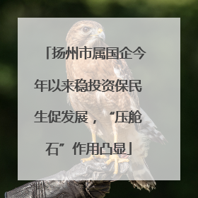 扬州市属国企今年以来稳投资保民生促发展，“压舱石”作用凸显