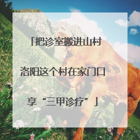 把诊室搬进山村 洛阳这个村在家门口享“三甲诊疗”