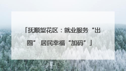 抚顺望花区：就业服务“出圈” 居民幸福“加码”