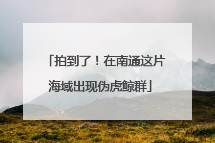拍到了！在南通这片海域出现伪虎鲸群