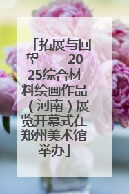 拓展与回望——2025综合材料绘画作品（河南）展览开幕式在郑州美术馆举办